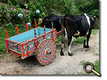 Colorful cart in Costa Rica photo