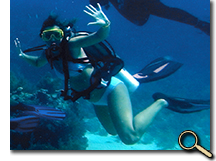 Tropical marine ecology students scuba diving photo