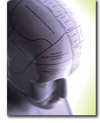 map of human brain areas image