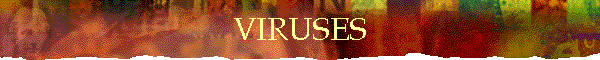 VIRUSES