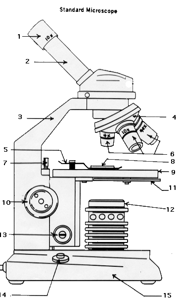Microscope Self-Test