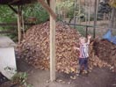 Compost Pile