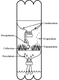 Water Cycle Model