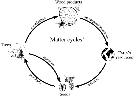 Matter Cycles