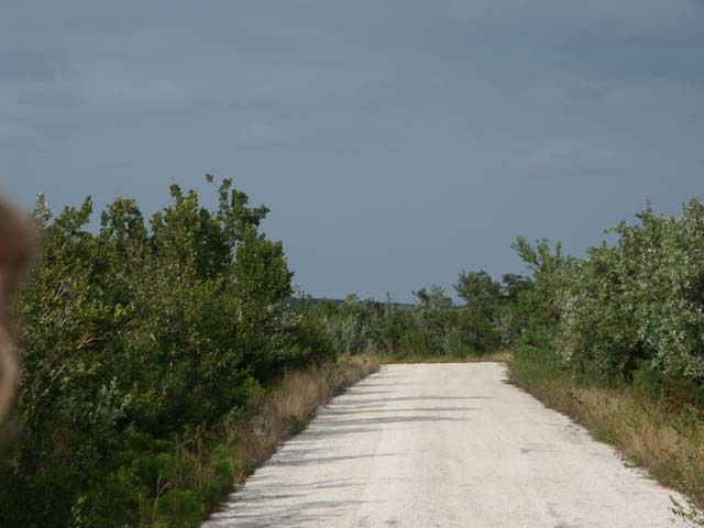 PICT0202