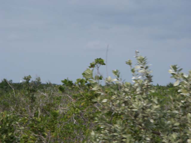 PICT0203