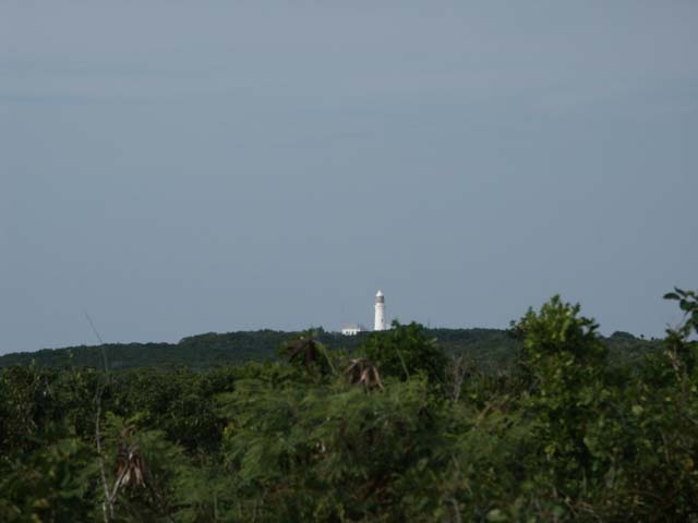 PICT0204