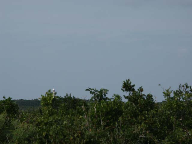 PICT0205