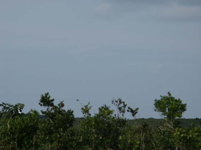 PICT0206