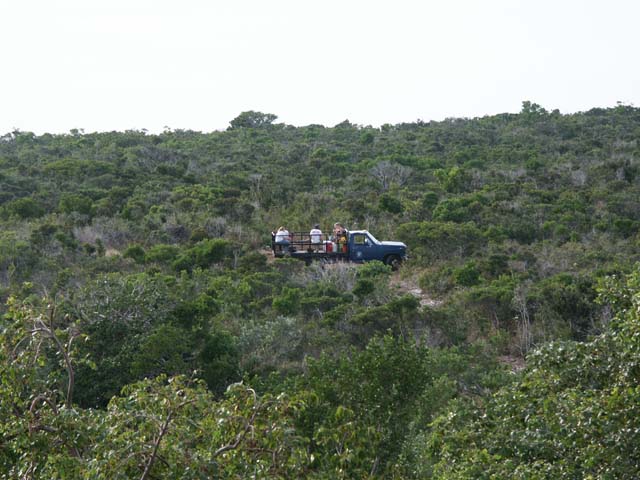 PICT0207
