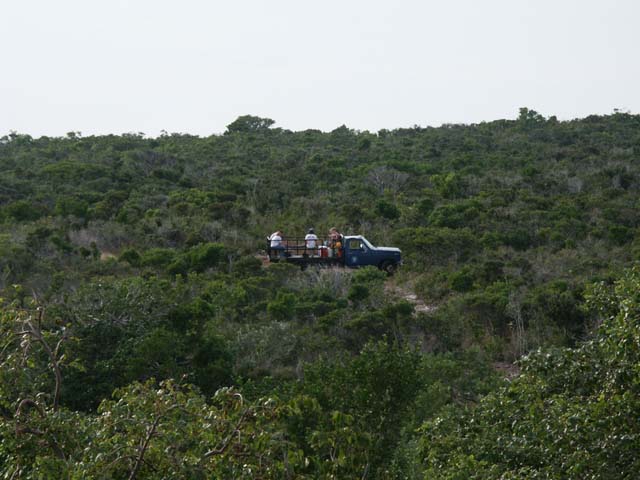 PICT0208