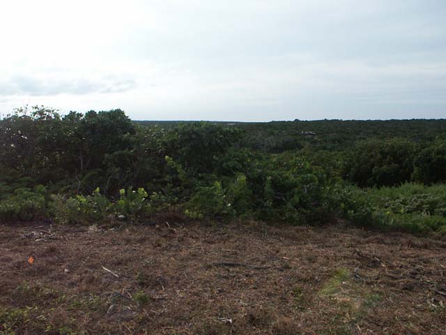 PICT0209