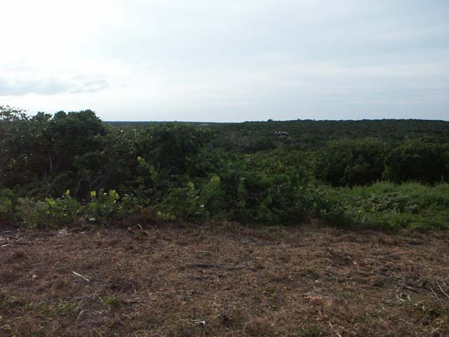 PICT0213