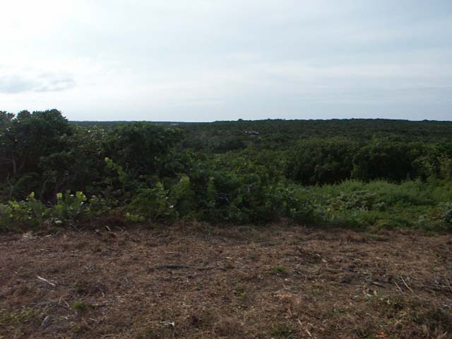 PICT0214