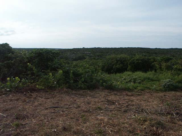 PICT0215