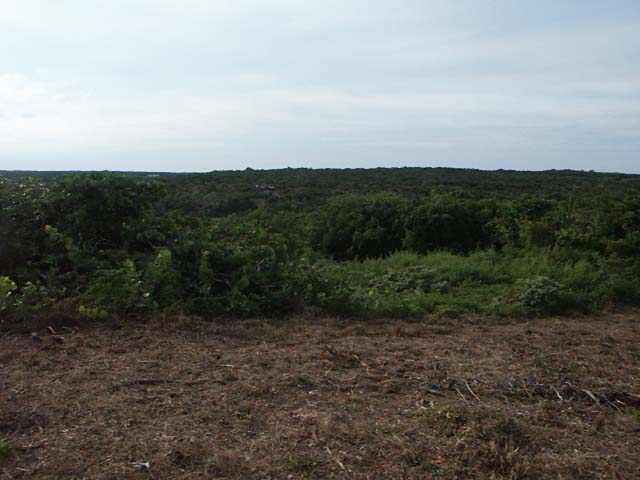PICT0216