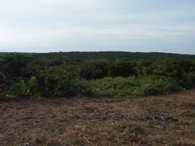 PICT0217