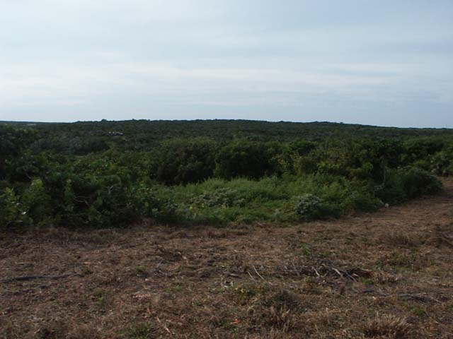 PICT0218