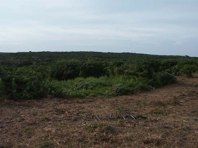 PICT0219