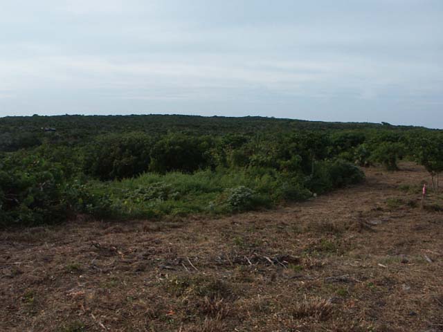 PICT0220