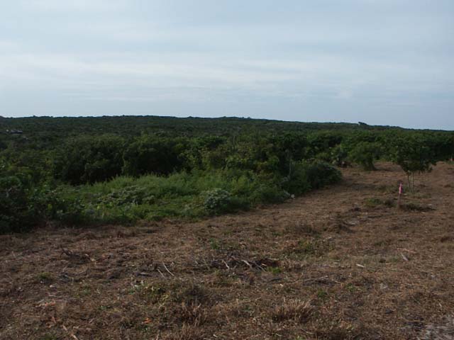 PICT0221