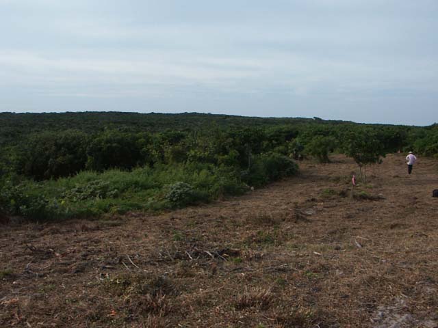 PICT0222