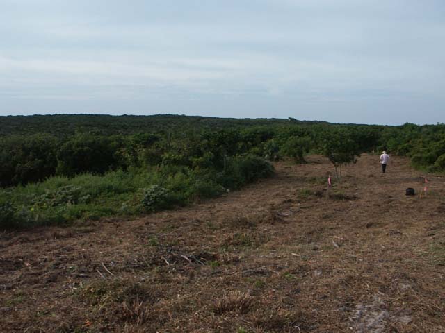 PICT0223