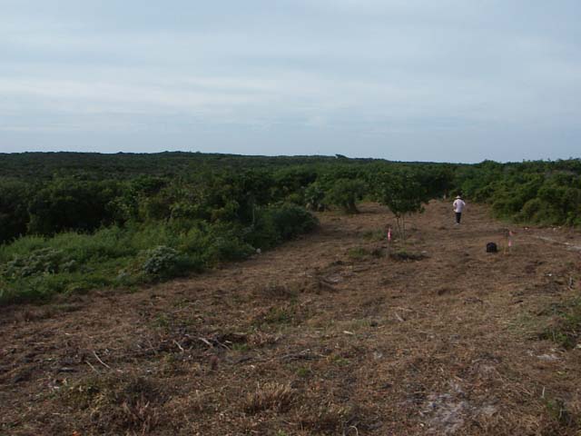 PICT0224