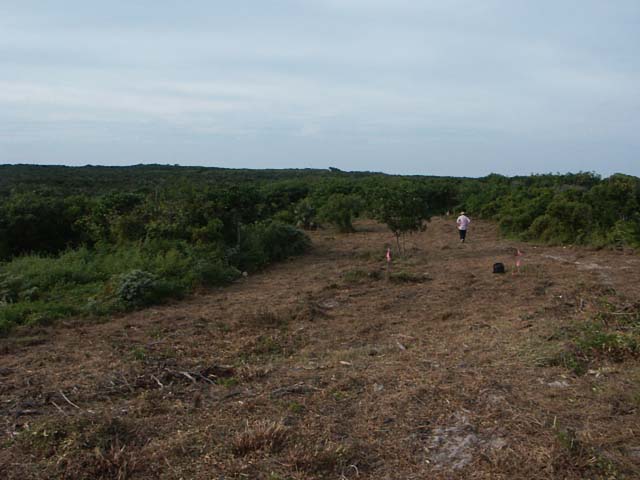 PICT0225