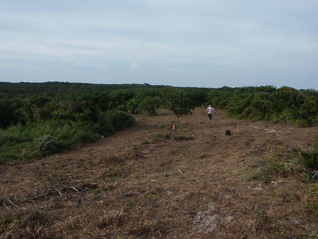 PICT0226