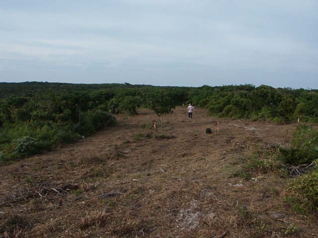 PICT0227