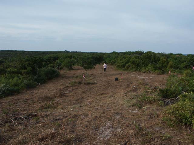 PICT0228