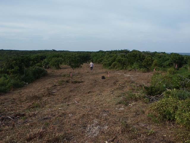 PICT0229