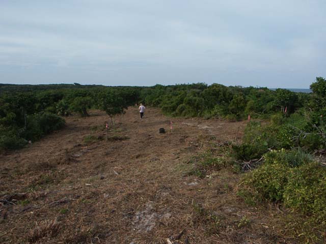 PICT0230