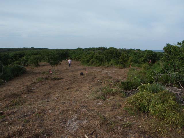 PICT0231