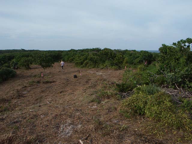 PICT0232