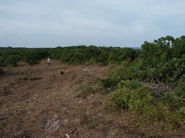 PICT0233