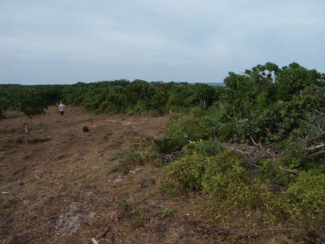 PICT0234