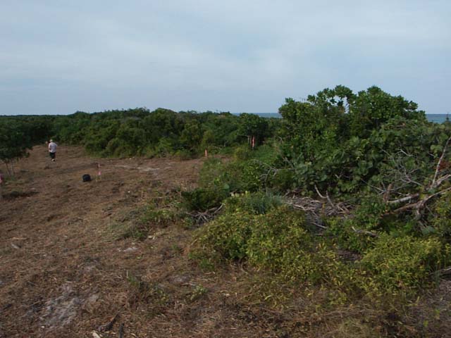 PICT0235