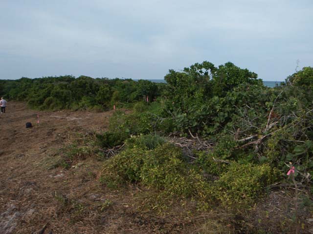 PICT0236