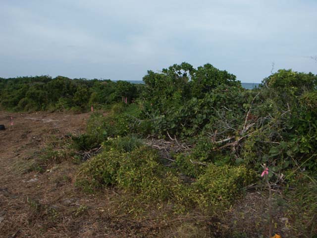 PICT0237