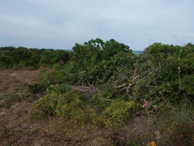 PICT0238