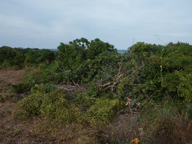 PICT0239