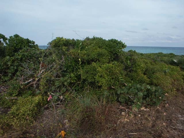 PICT0244