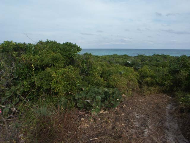 PICT0247