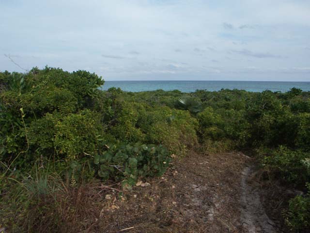 PICT0248