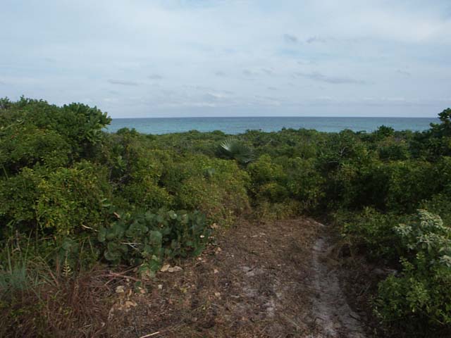 PICT0249