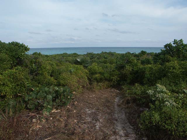 PICT0250