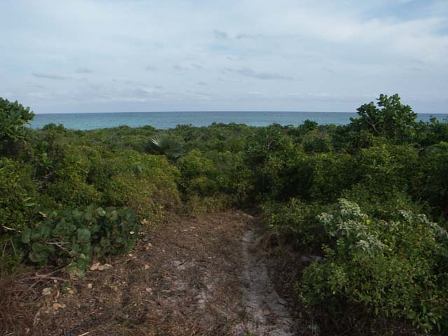PICT0251
