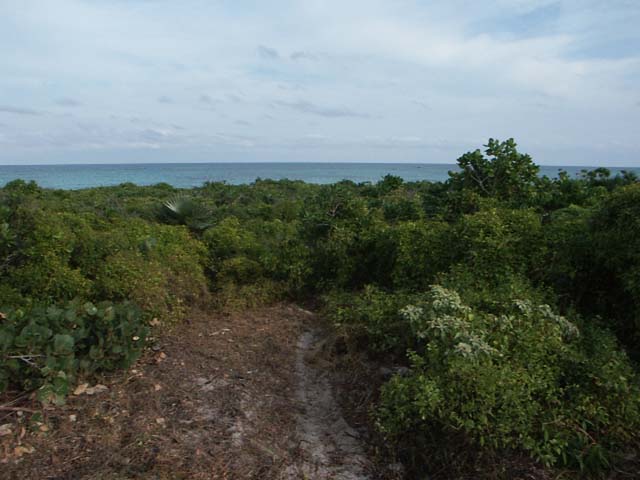 PICT0252